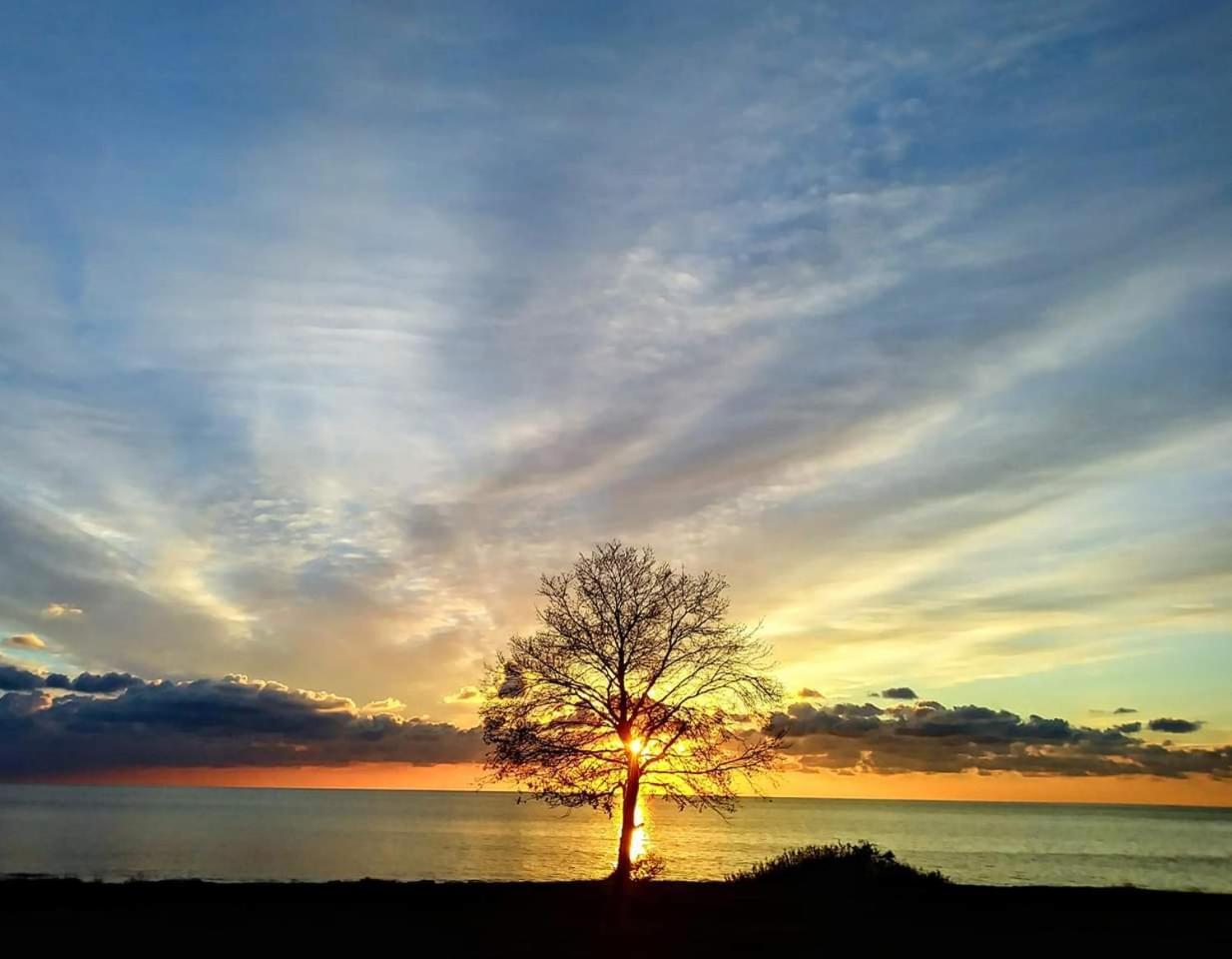 Apartmans Sun & Moon Zambratija  Dış mekan fotoğraf
