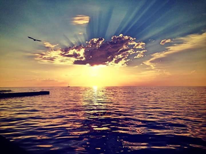 Apartmans Sun & Moon Zambratija  Dış mekan fotoğraf